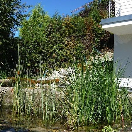 HertensteinN1 Standalone House Baden公寓 外观 照片