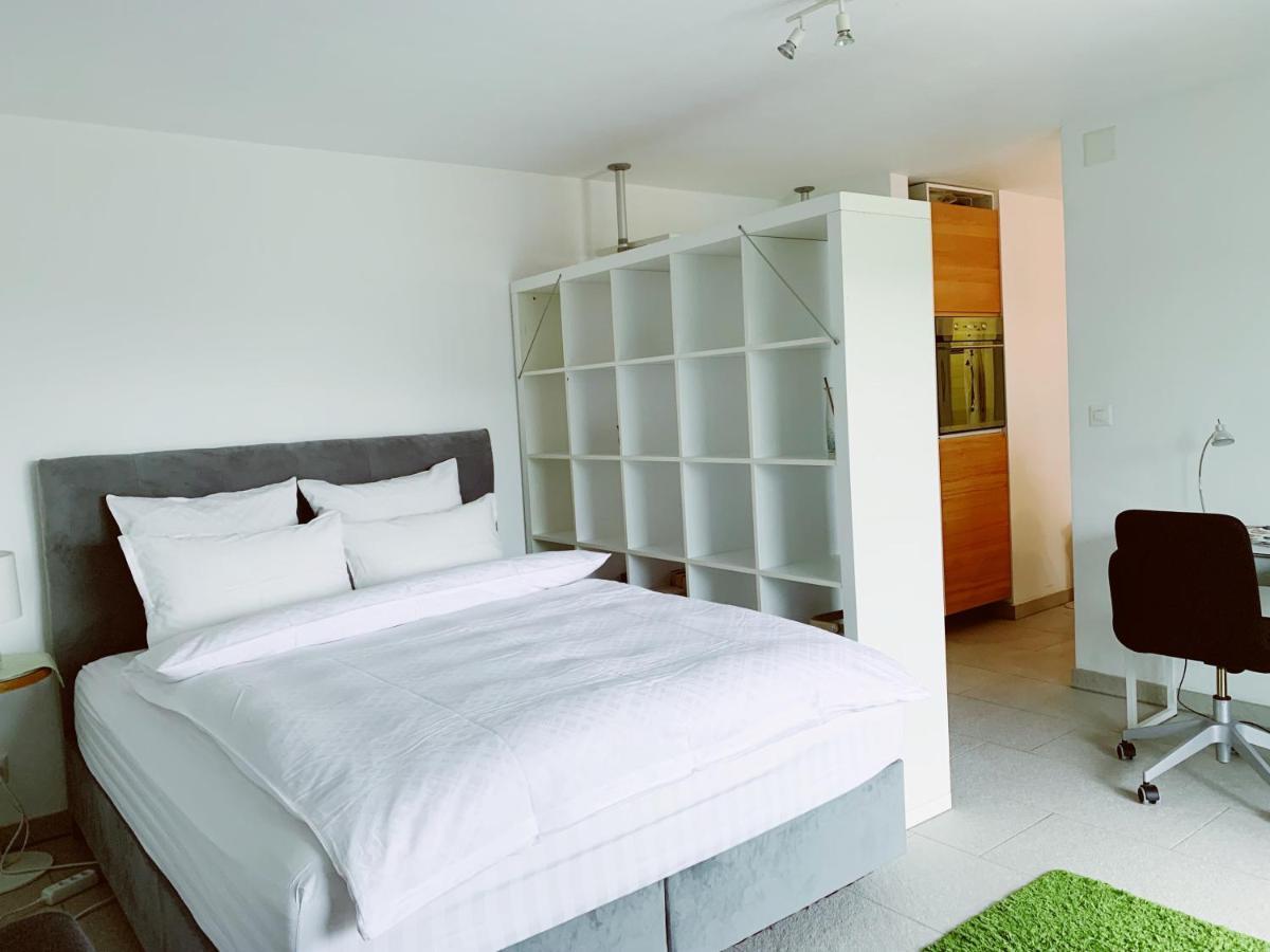 HertensteinN1 Standalone House Baden公寓 外观 照片