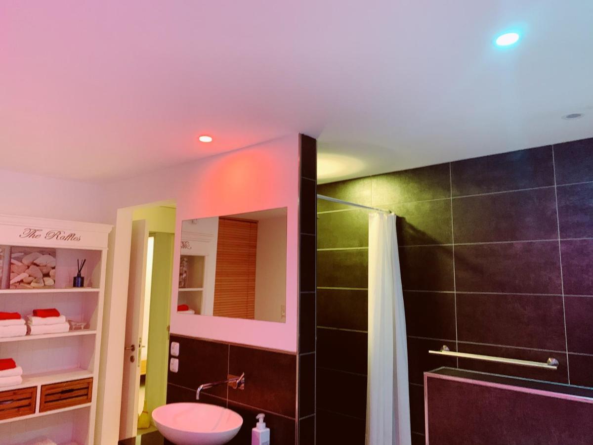 HertensteinN1 Standalone House Baden公寓 外观 照片