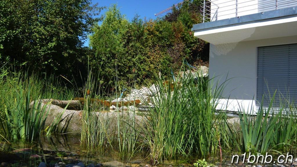 HertensteinN1 Standalone House Baden公寓 外观 照片
